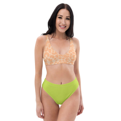 Recycled High-Waisted Bikini Animal Print & Solid Neon Swimwear